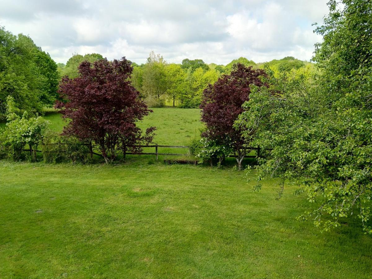 Chambres D'Hotes Domaine De La Jonquiere, Bouloire ภายนอก รูปภาพ