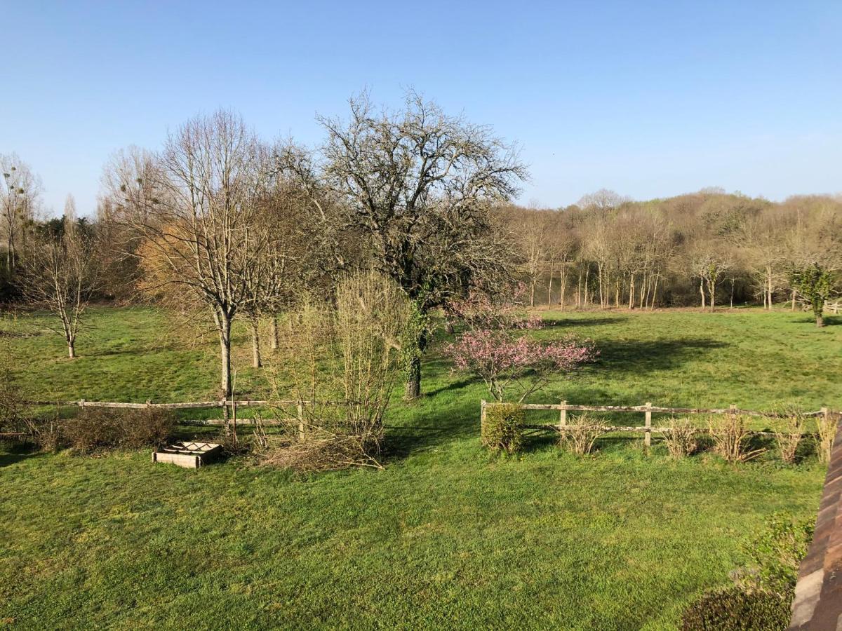 Chambres D'Hotes Domaine De La Jonquiere, Bouloire ภายนอก รูปภาพ